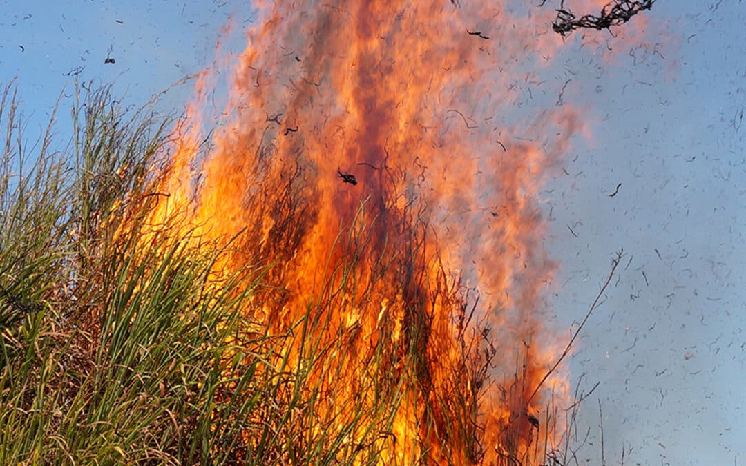 Prévention des risques d&rsquo;incendies