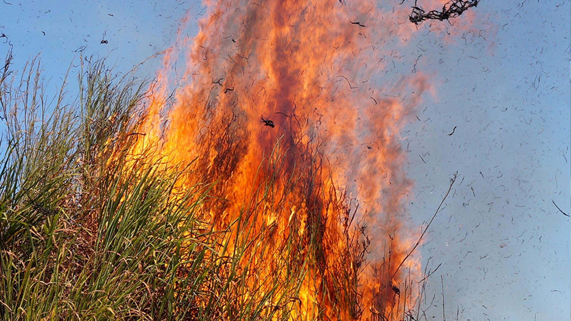 Marché des producteurs