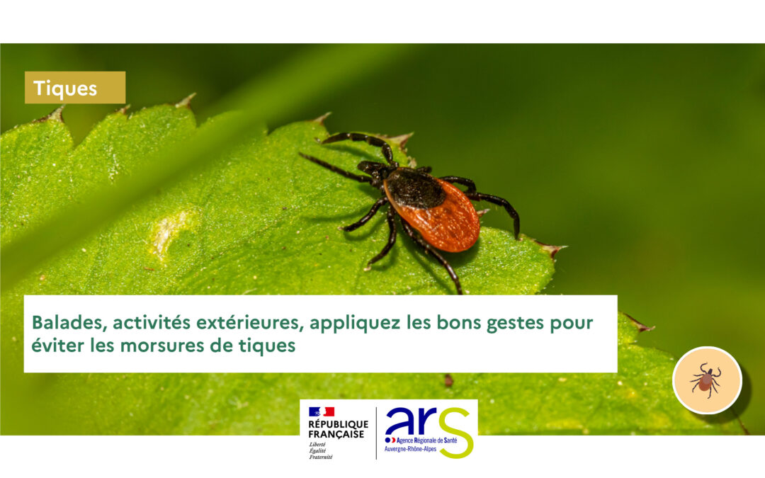 La tique attaque !