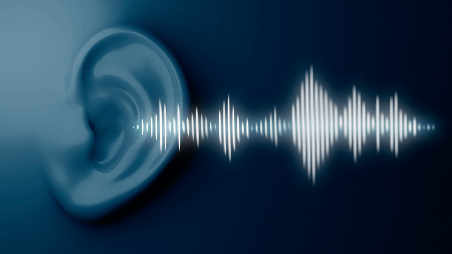 Consultation publique PPBE
