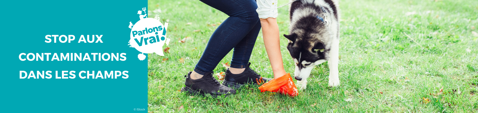 Marché des producteurs
