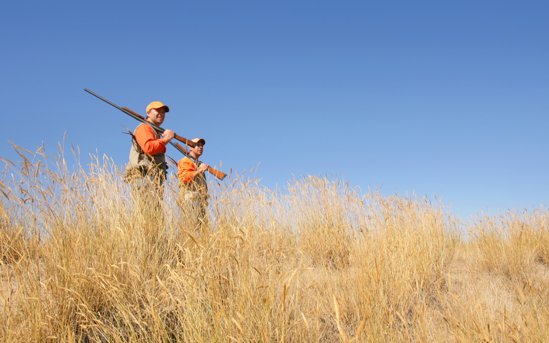 Période de chasse