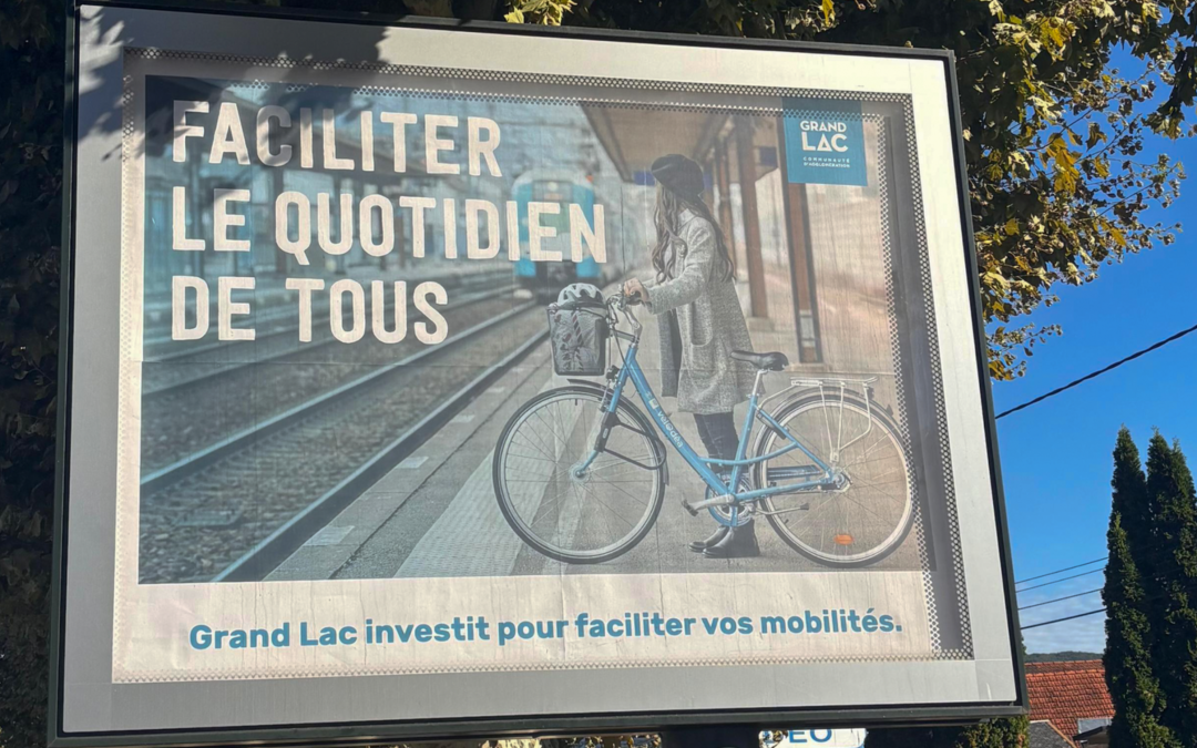 Enquête Publique Grand Lac : Règlement Local de Publicité