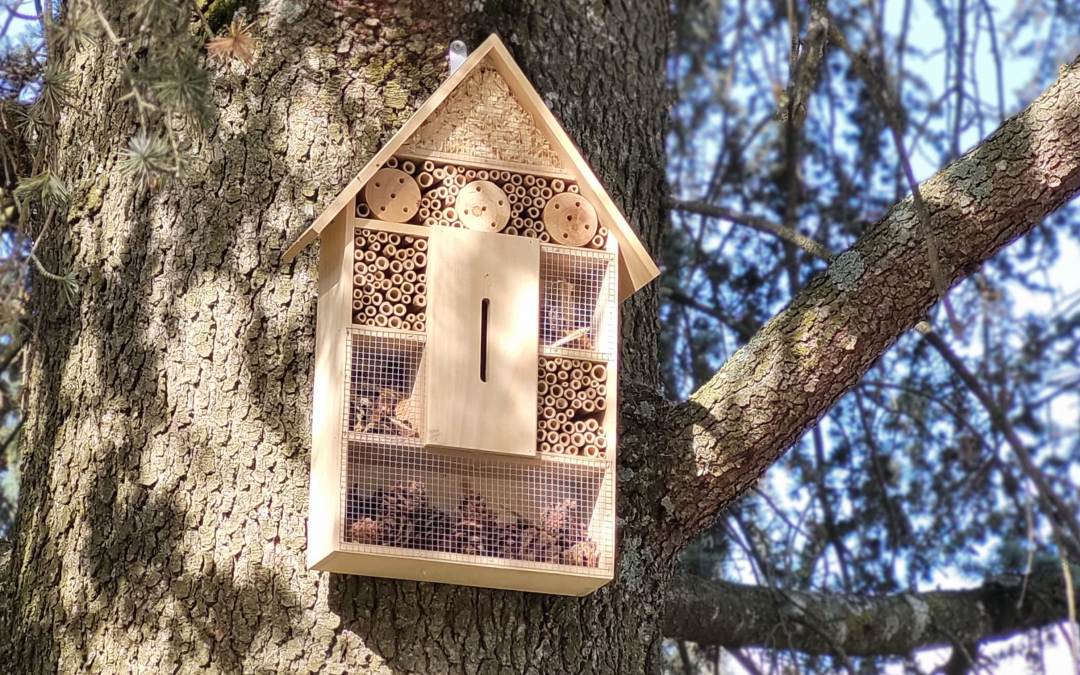 Installation d&rsquo;un hôtel à insectes à l&rsquo;école !