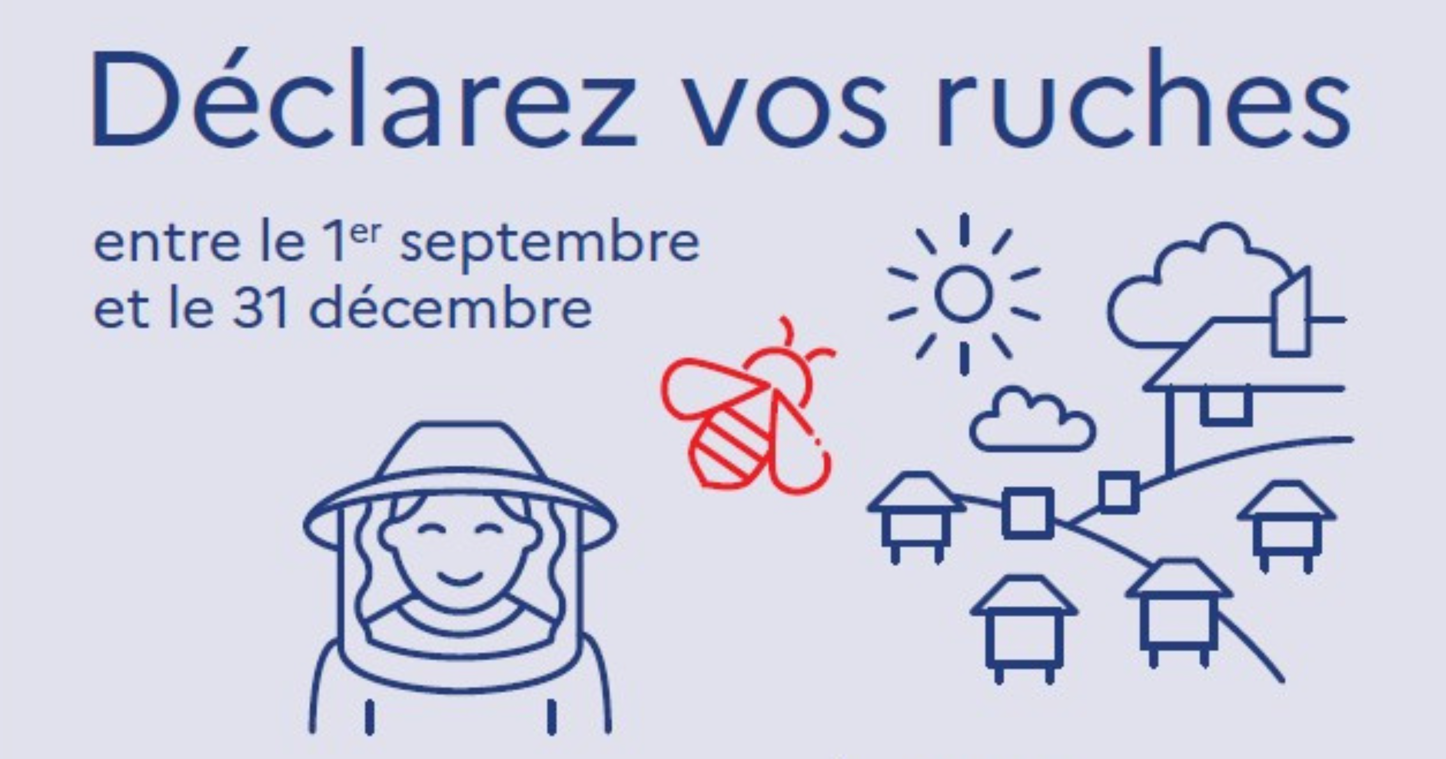 Luminaires led recadré Marché des producteurs